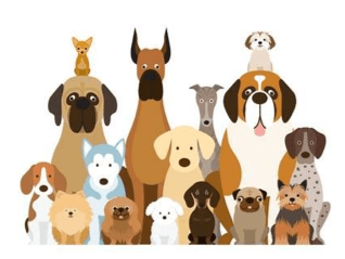 Other Factors to Consider